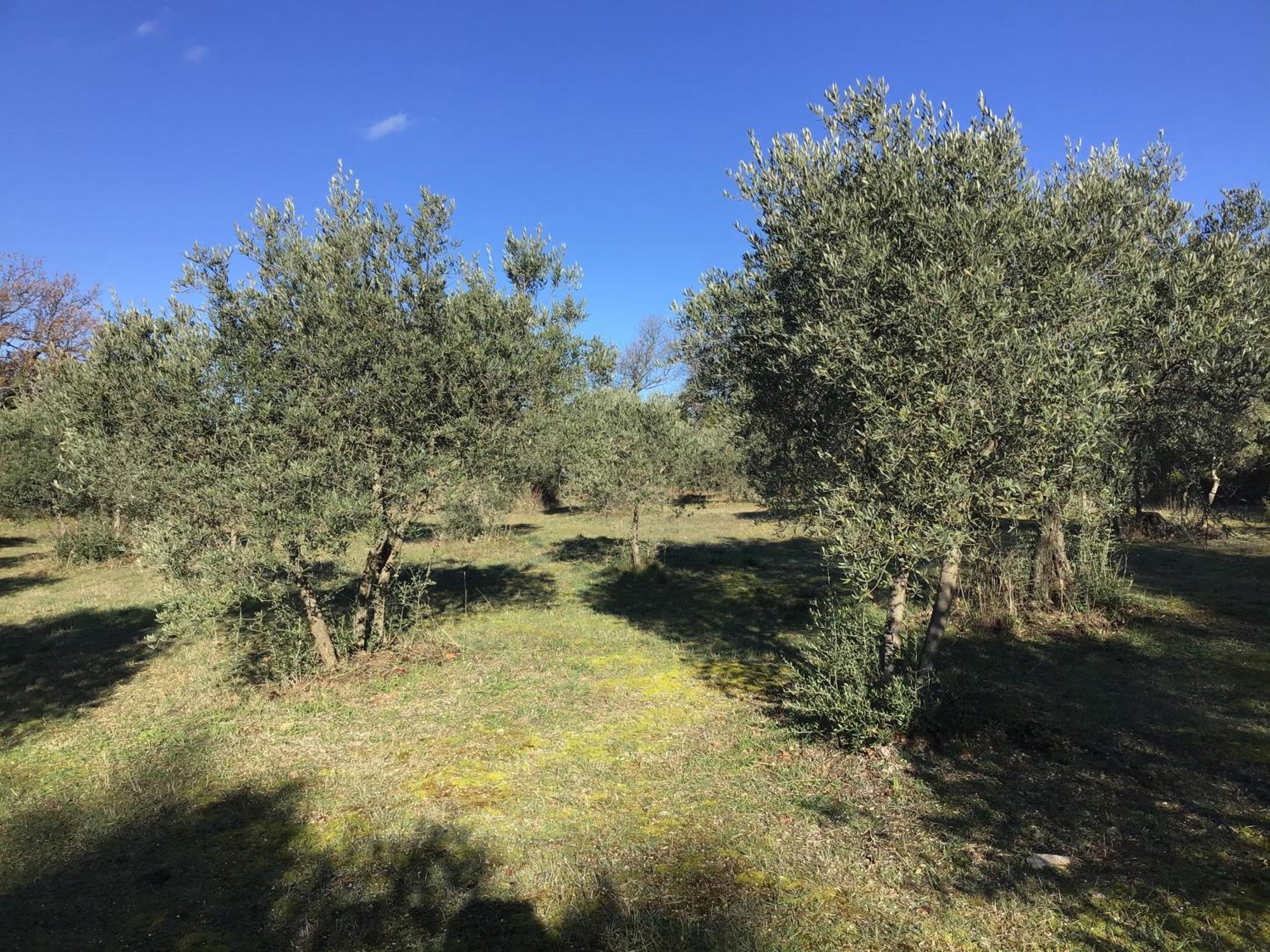 Le Verger Gordes Eksteriør bilde